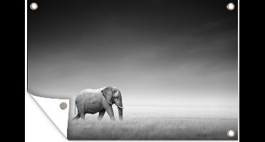 Tuinposter - Tuindoek - Tuinposters buiten - Olifant - Dieren - Landschap - Zwart wit - zebra - 120x80 cm - Tuin