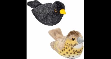 Set van 2x stuks pluche vogels knuffels van 14 cm met geluid