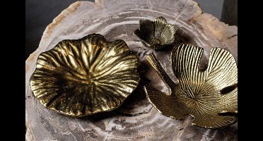 PTMD Melana Ronde Schaal - H6 x Ø23 cm - Aluminium - Goud