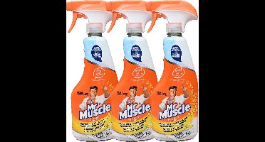 Mr. Muscle Keuken Reiniger - 3 x 500 ml - Voordeelverpakking