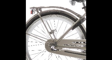 Alpina Achterdrager 24 Clubb gold met matt