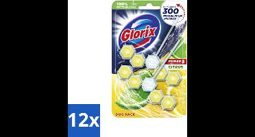Glorix - Power 5 - Toiletblok - Citrus - Langdurige Frisheid - 2 Blokken - Voordeelverpakking - 12 stuks