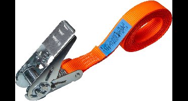 DELTASLING Omsnoerband met ratel 25 mm - 7 meter - 1000 kg