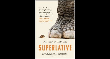 Superlative: The Biology of Extremes