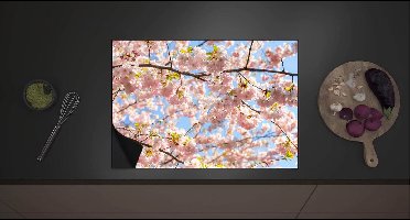 Inductieplaat Beschermer - Roze Sakura Boom van Dichtbij - 70x52 cm - 2 mm Dik - Inductie Beschermer met zwarte kern