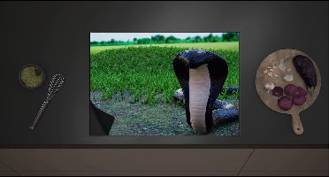 Inductie Beschermer - Aanvallende Zwarte Cobra Slang bij Groenkleurig Grasveld - 70x52 cm - 2 mm Dik - Inductieplaat Beschermer met zwarte kern