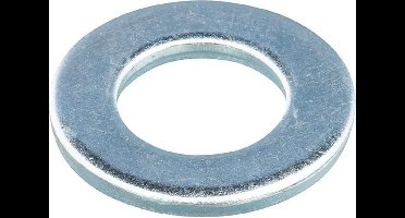 Sluitring Vlak M36 Verzinkt staal - 50 stuks