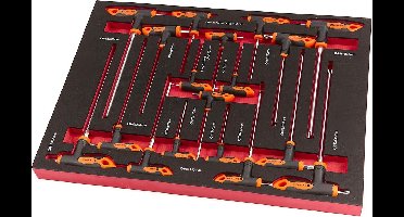 HBM 18 Delige T-Grepenset Foam Inlay voor HBM Gereedschapswagen