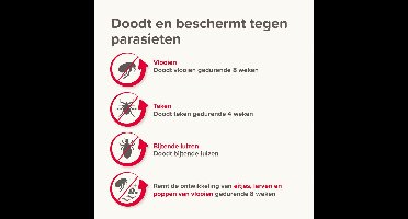 2x Beaphar Combotec Anti Teken- en Vlooiendruppels Hond 40-60 kg 2 pipetten