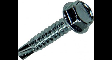 20x SAM Zelfborende schroef zeskantkop 4.8x25mm E1 816094