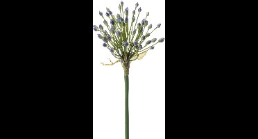 Emerald - Kunstbloem Allium bloemknoppen 70cm blauw - Kunstplant voor binnen