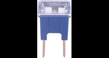 FLM pal zekering 100 amp 1 stuk