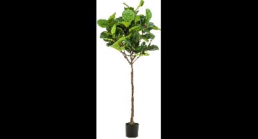 Kunstplant Ficus Lyrata 195 cm
