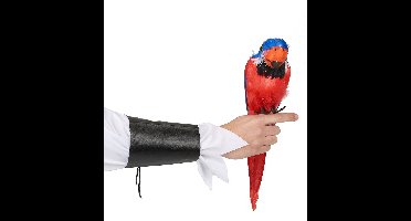 Decoratieve papegaai piraat