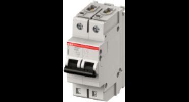ABB Installatieautomaat 2 polig, D kar.,40A, 10kA