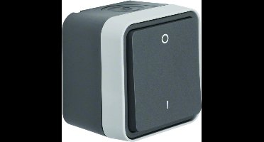 Hager Berker W.1 Installatieschakelaar - 30723505 - E35PR