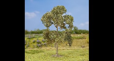 Faller - 1 PREMIUM eik