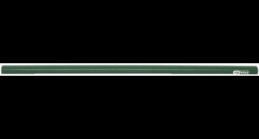 KS Tools Metselaarsloodlood H 7883000071 - Groen, Plat-Ovaal, 250mm
