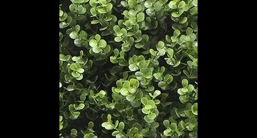 Buitengewoon de boet - Kunstplanten mat 50x50 cm buxus