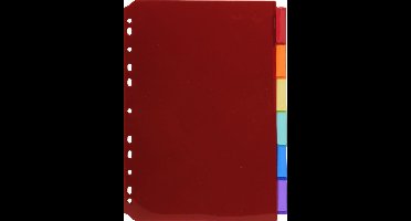 Exacompta 10x Tabbladen in Doorzichtige PP met neutrale tabs in etikethouder - 6 tabs - A4 - Geassorteerd - 3906E
