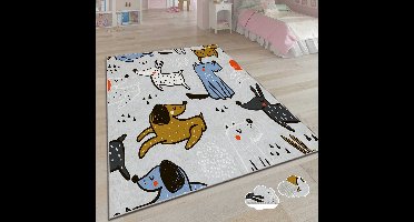 Asir - Vloerkleed - 120 x 180 cm - meerkleurig