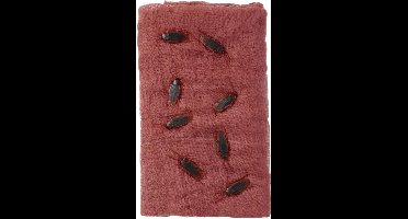 Smiffys - Cockroach Creepy Cloth Kit Halloween Decoratie - Bruin
