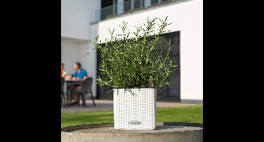 Plantenbak met bewateringssysteem, wit, 14 x 14 x 14 cm