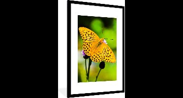PosterMonkey - Poster - Fotolijst - Vlinders - Geel - Bloem - Dieren - Posterlijst - 60x90 cm - Kader - Poster natuur - Muurdecoratie- Wanddecoratie - Foto in lijst