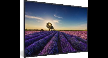 PosterMonkey - Poster - Fotolijst - Lavendel - Bloemen - Boom - Zon - Landschap - Frame - 90x60 cm - Poster lavendel - Poster natuur - Foto lijst - Poster in lijst