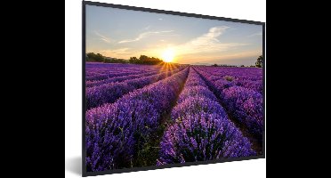 PosterMonkey - Poster - Fotolijst - Lavendel - Zon - Landschap - Bloemen - Kader - 80x60 cm - Posterlijst - Poster met frame - Poster lavendel - Foto in lijst - Poster natuur