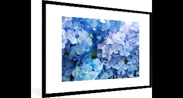 PosterMonkey - Poster - Fotolijst - Hortensia - Bloemen - Natuur - Waterdruppel - Blauw - Poster bloemen - 90x60 cm - Posterlijst - Foto in lijst - Kader - Woondecoratie