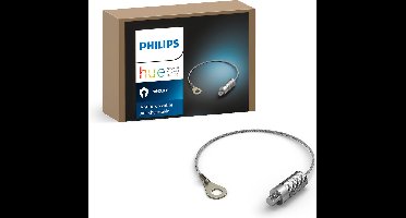 Philips Hue Secure camera accessoire anti-val kabel