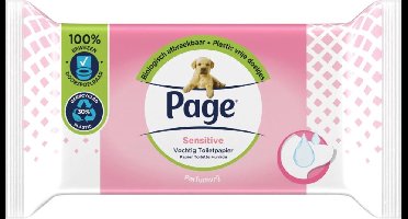 Page Vochtig Toiletpapier Sensitive 38 stuks
