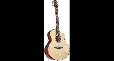 Fame Artist Pro Custom - Akoestische gitaar