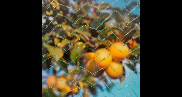 Nature - Primo tuin-net - 8x8m - groen - anti-vogelnetten