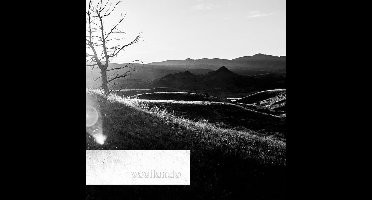 Vacilando - While They Were Dancing (CD)