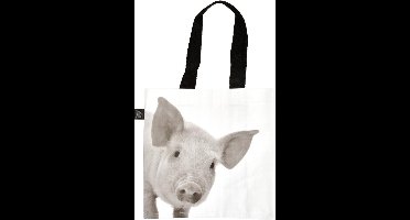 Mini tas met biggetje