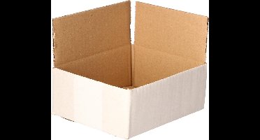 FLWR Blanco Postdozen / 160 x 125 x 60 mm / Wit - 30 St.