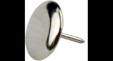 Glijnagel 25 mm doorsnede vernikkeld