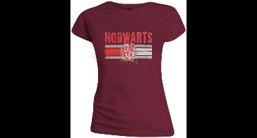 HARRY POTTER - HOGWARTS CHAMPIONS WOMEN T-SHIRT - MULTICOLOR