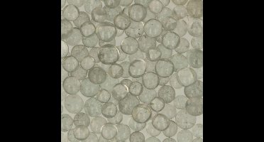 Opry Glasparels Zwaar 250 gram