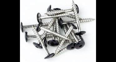 Trespaschroeven RVS 4,8x38 verpakt per 50 stuks zwart (RAL 9005)