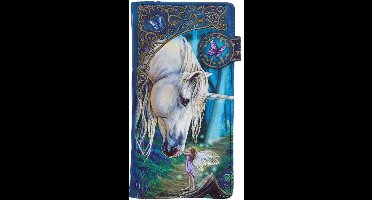 Nemesis Now - Fairy Whispers Portemonnee - Meerkleurig