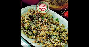 Kiemen pikante mix Bio