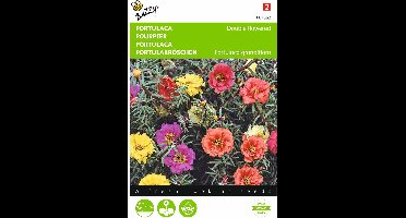 2 stuks Portulaca dubbelbloemig gemengd