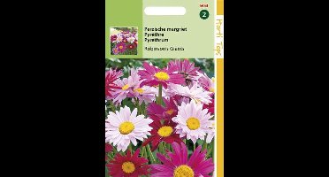 Hortitops zaden - Perzische Margriet Bloemzaad - Robinson's Giants - Gemengd