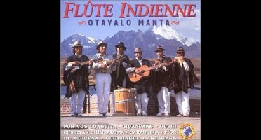 Flute Indienne