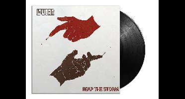 Reap The Storm
