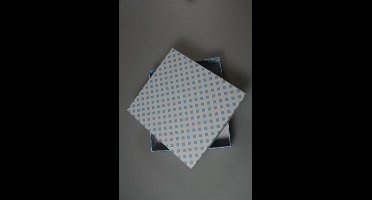 10 Vuldoosjes ruit blauw 72163