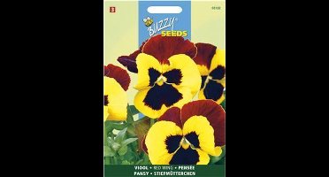 Viool Red Wing (Viola tricolor) Zaden